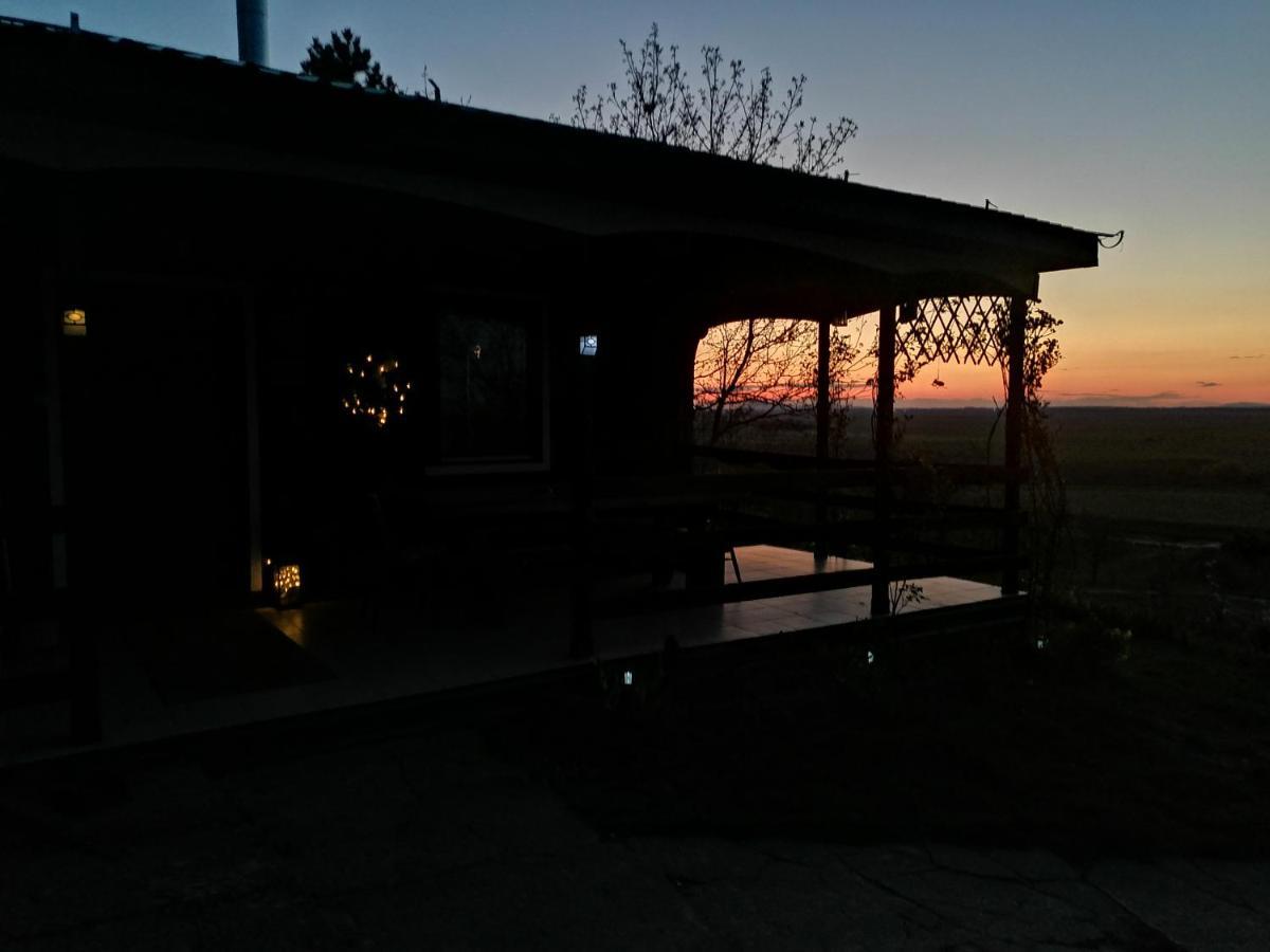 Baranja Black Hill'S Gajic Экстерьер фото