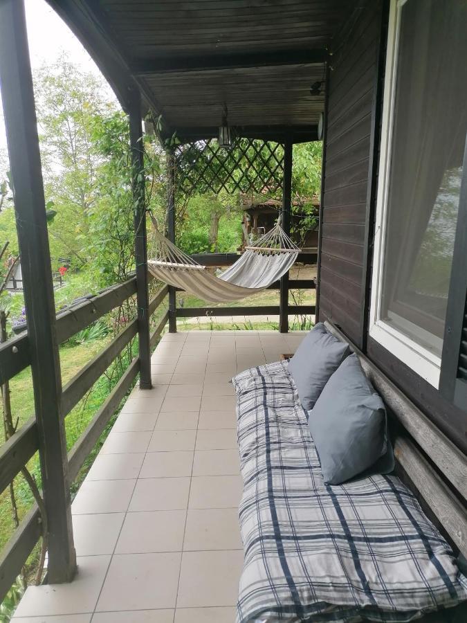 Baranja Black Hill'S Gajic Экстерьер фото